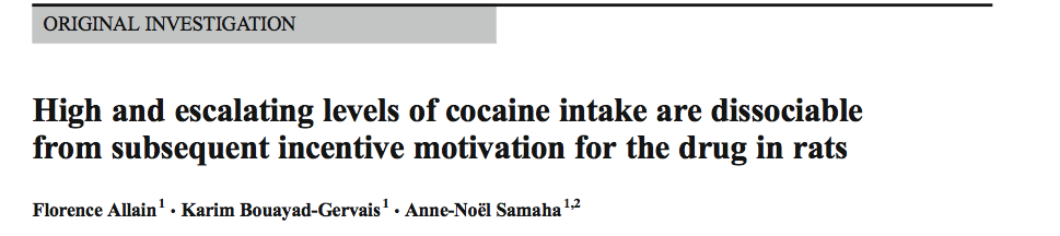 High and escalating levels of cocaine intake are dissociable from subsequent incentive motivation for the drug in rats